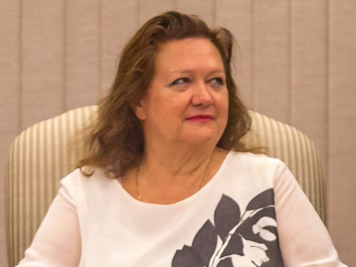 Gina Rinehart, Mining (iron ore; Hancock Prospecting)