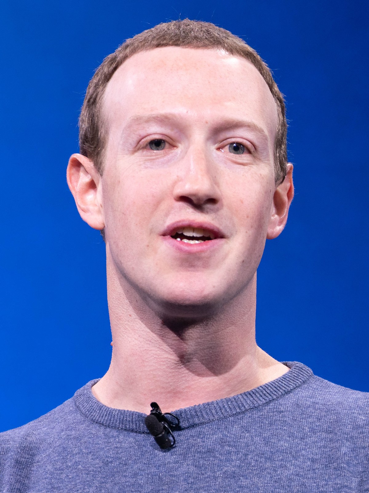Mark Zuckerberg portrait