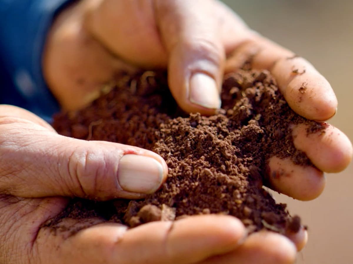 Hands holding soil from the Jalisco Highlands where Teremana agave is grown
