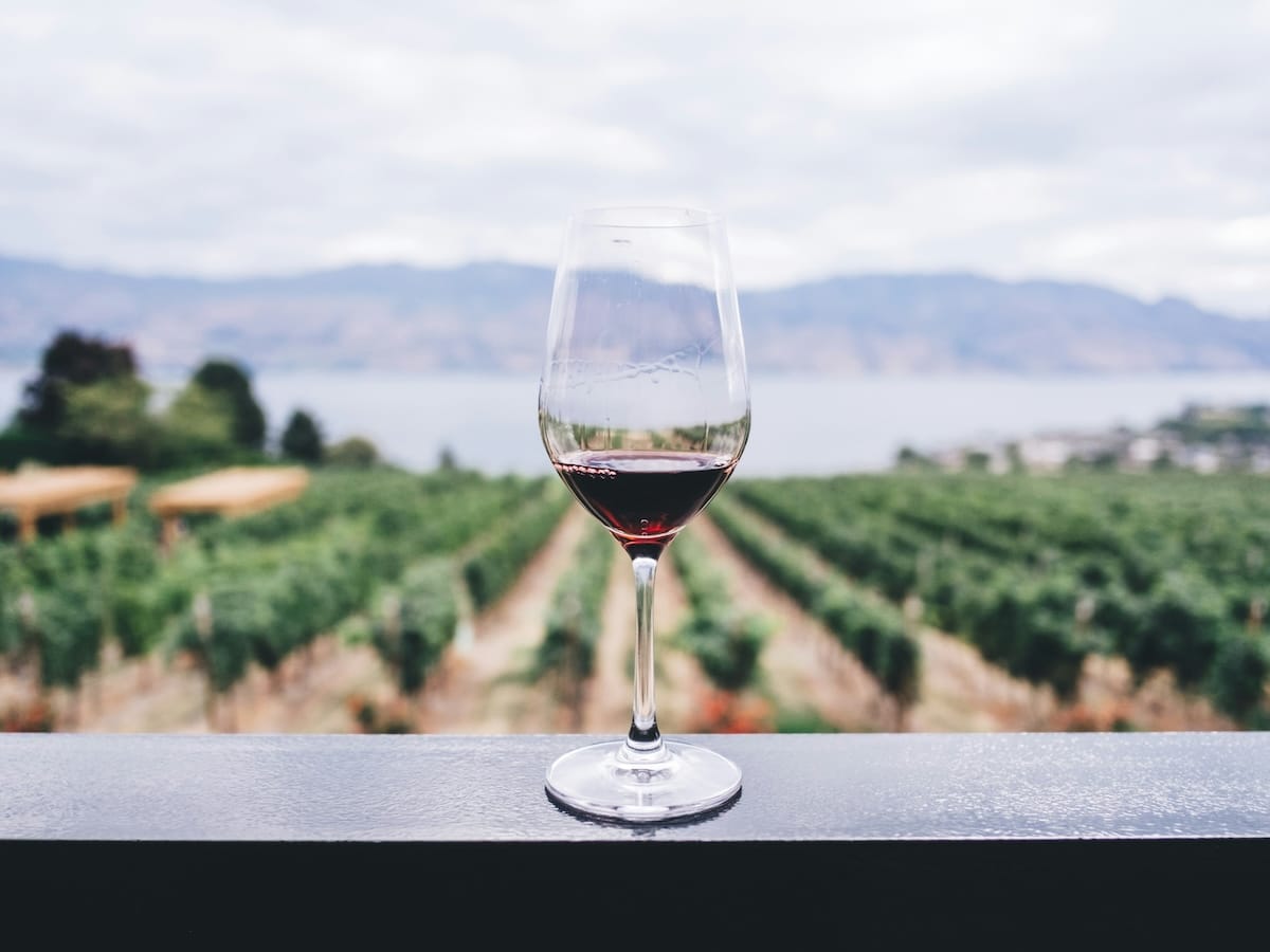 manofmany.com - Ally Burnie - What Is Blouge? This Mashup of Blanc and Rouge is the Next Big Thing in Wine