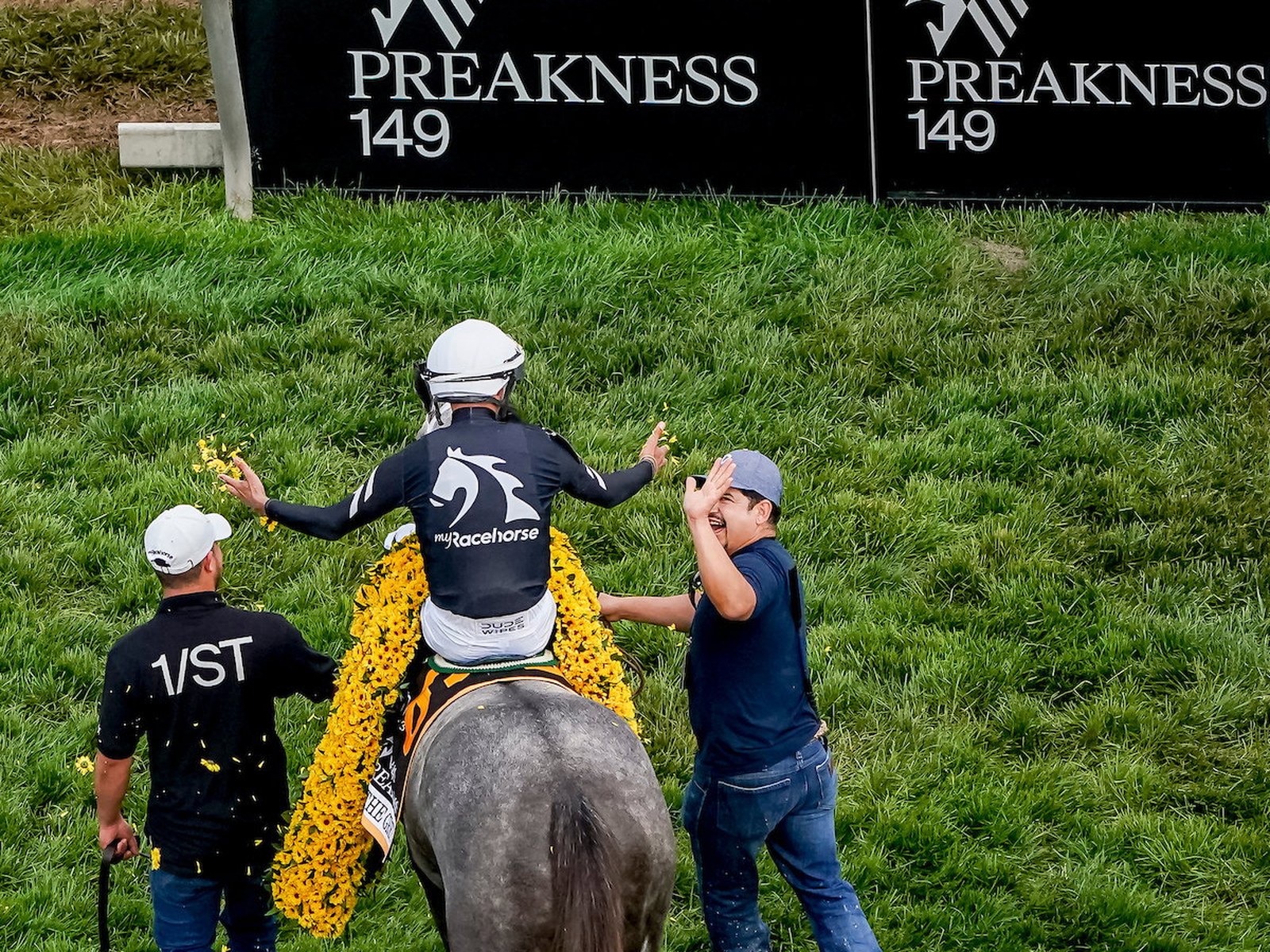 A jockey in MyRacehorse silks throws both arms wide on a garlanded grey horse in front of the Preakness 149 hoarding.