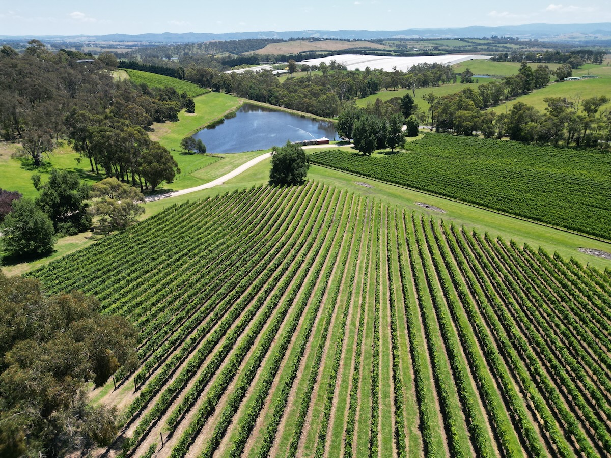 Medhurst vineyard drone shot landscape pg