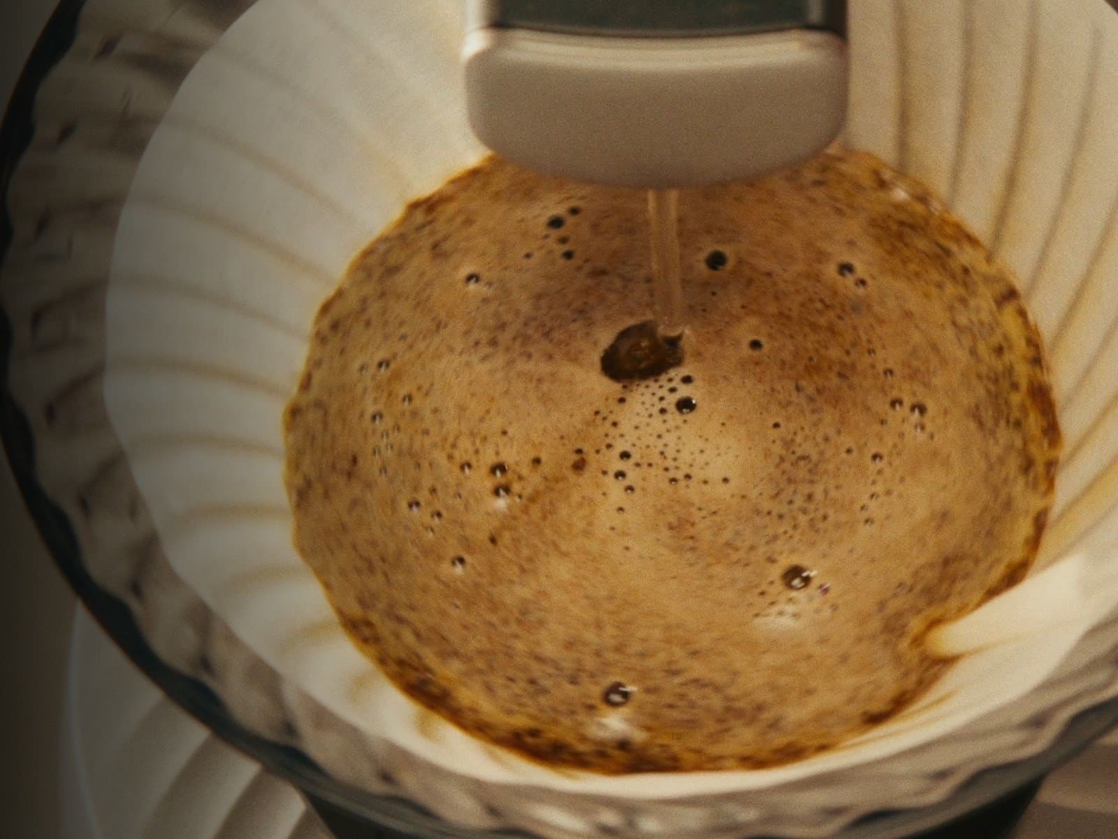 Overhead view into the paper filter as the coffee bloom domes up and bubbles