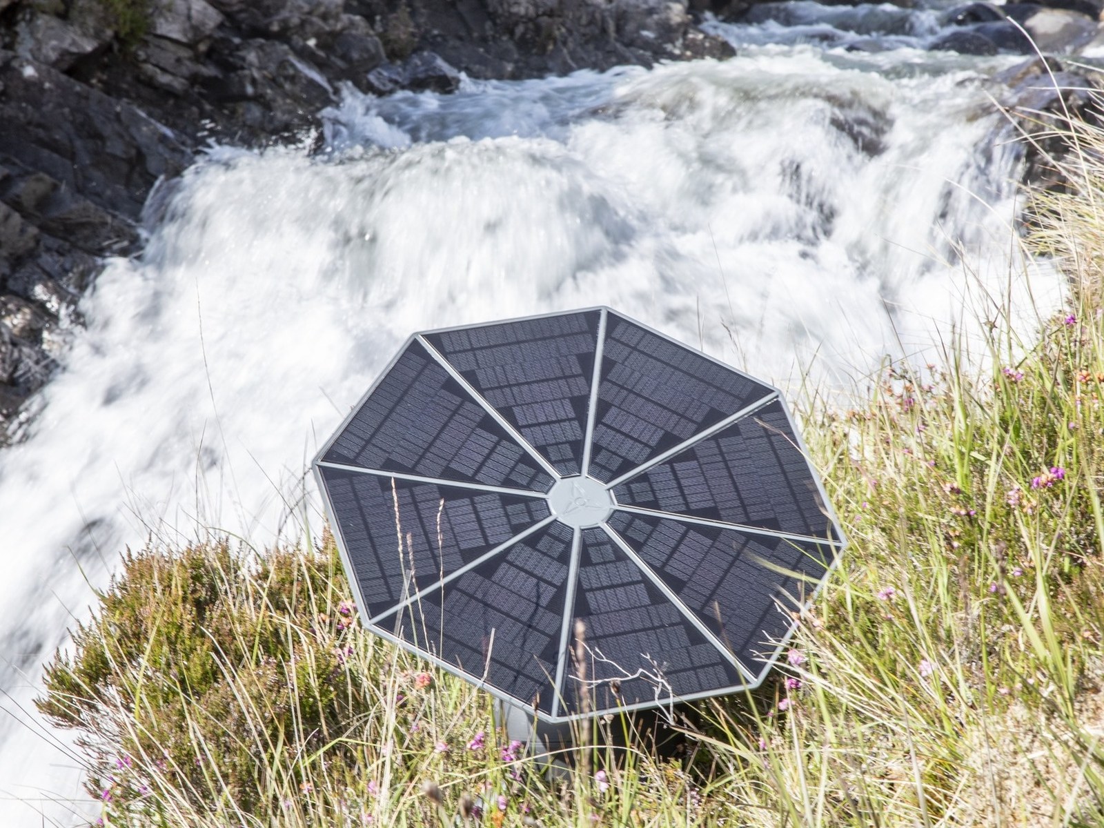 Standing in grass beside fast-moving water