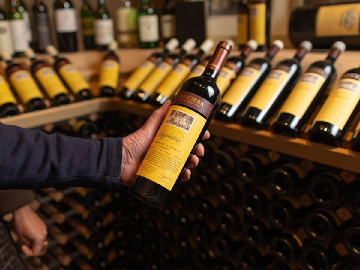 Yalumba the signature 2023