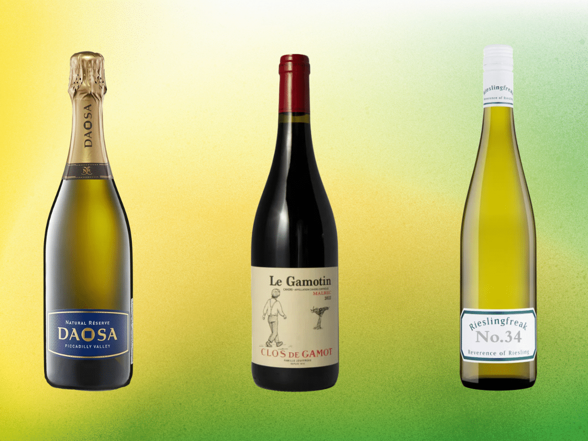manofmany.com - Ally Burnie - 10 Best Cheap Wines Under $100, According to a Sommelier