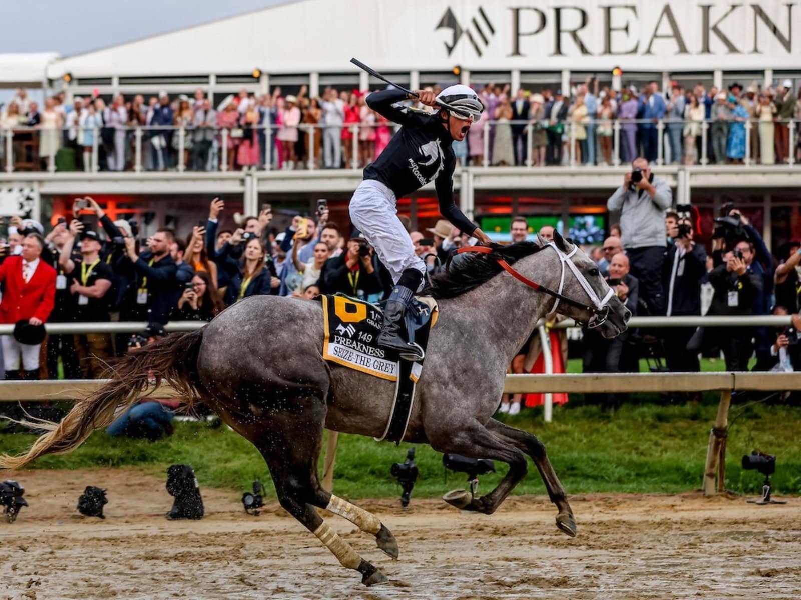 Owning a Racehorse Now Costs Less Than a $100 Bar Tab