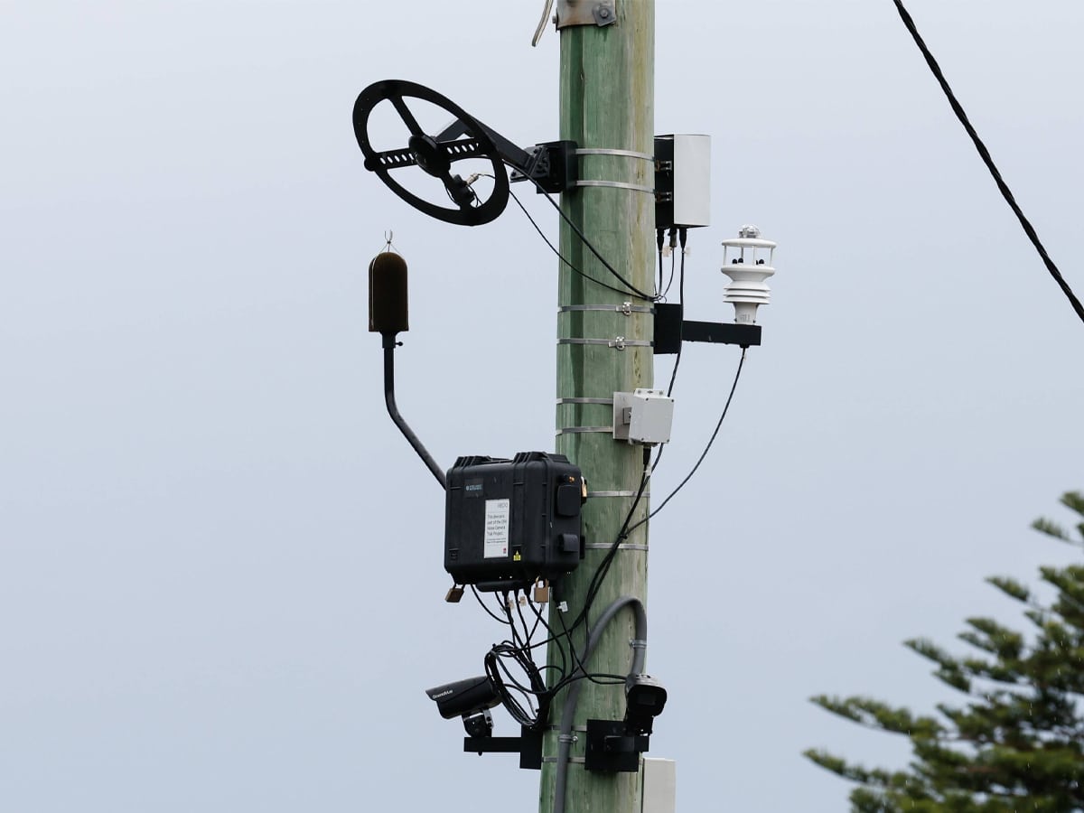 Hoon camera in nsw