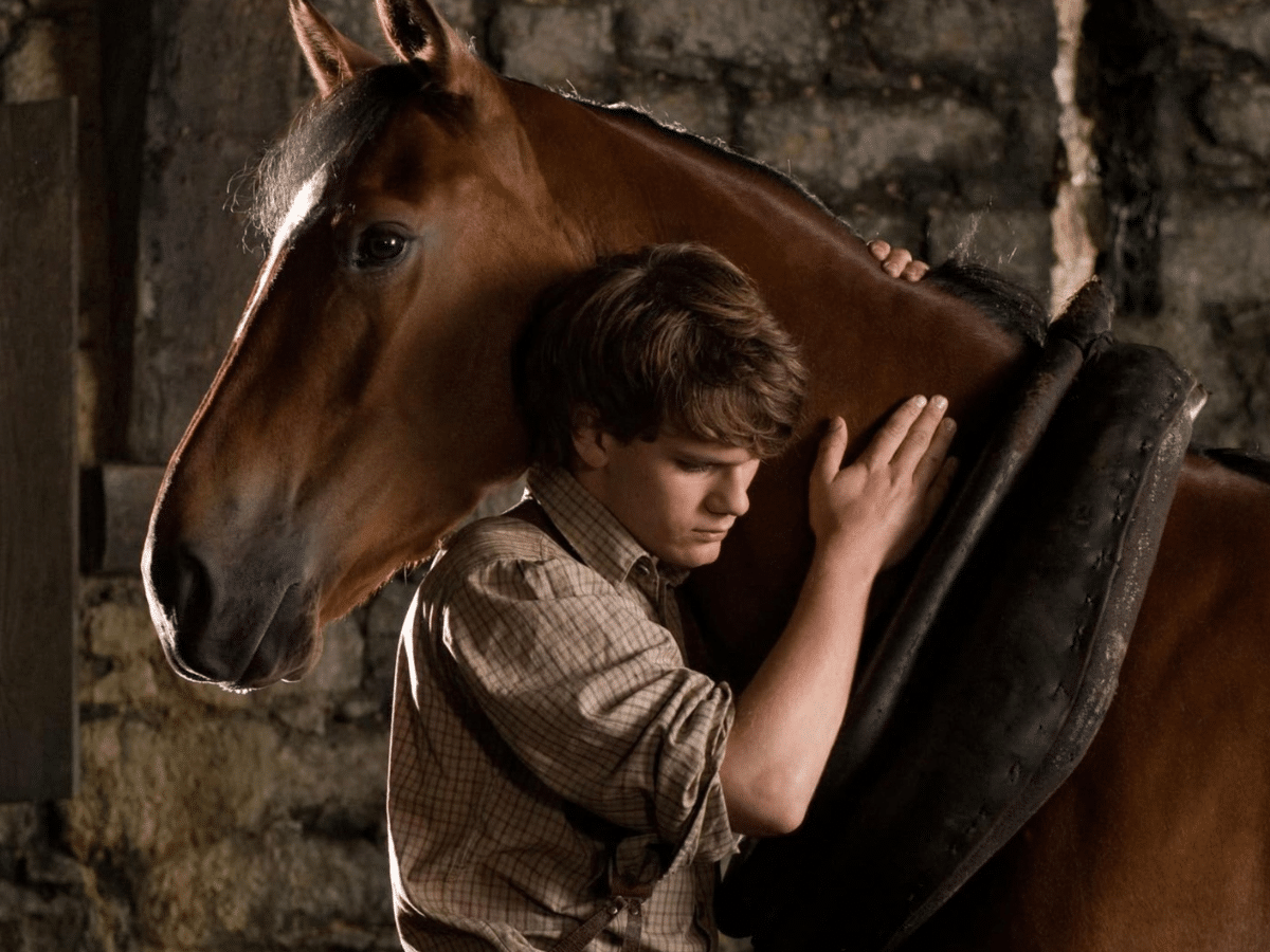 War Horse | Image: IMDb