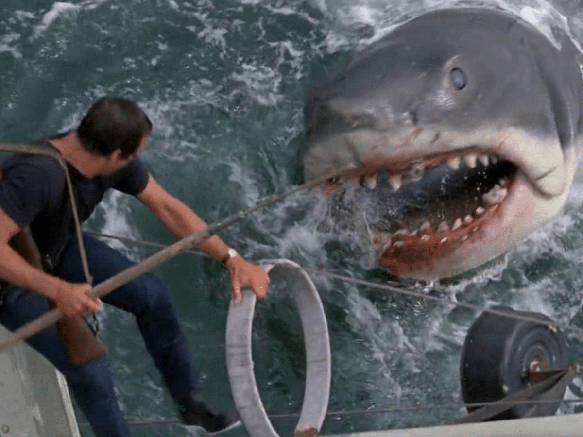 Jaws | Image: IMDb