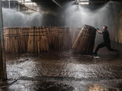 Inside The Macallan: The Science Behind 80% of Your Whisky’s Flavour