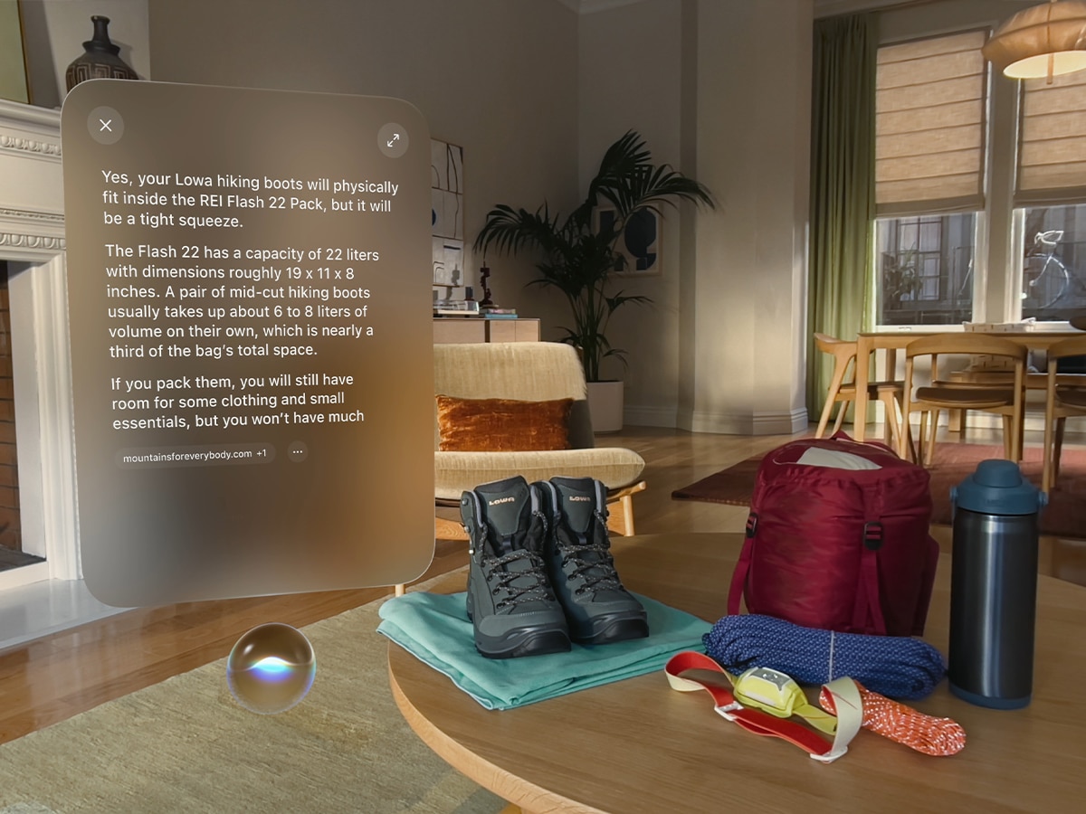 Visual intelligence answering questions about physical objects on apple vision pro - image apple