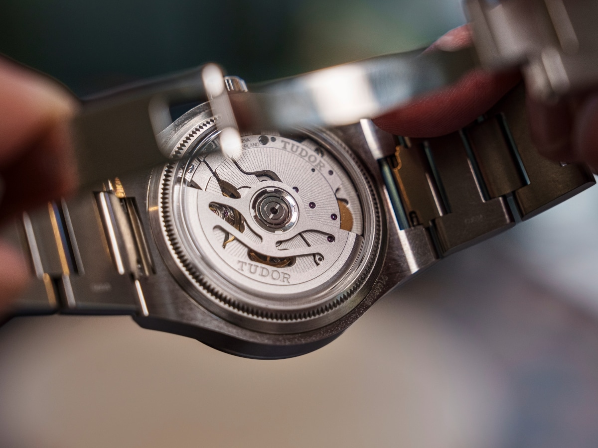 Tudor northflag 4
